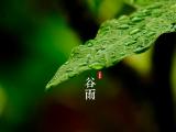 二十四节气谷雨