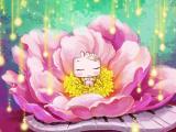 花蕊里甜睡的囧妮