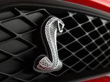 福特眼镜蛇GT500标志
