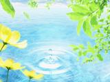 清新水滴