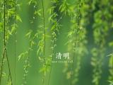 清明时节雨纷纷