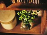 lomo家居