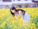 花海里的清新女孩