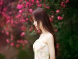 旧梦碎人心