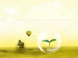 泡泡里的嫩芽
