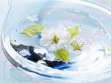 瓶子里的花
