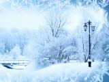 雪白世界