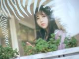 我的女神