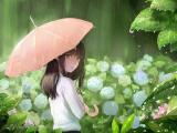 冰菓