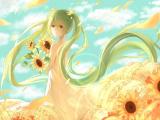 向日葵里的初音