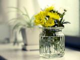 黄色插花