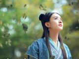 蜀山战纪赵丽颖