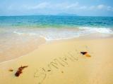 海滩上的夏天