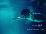 既然青春留不住张翰