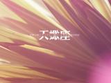 天蝎座语录