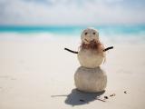 海滩上的雪人