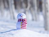 雪地上的可爱雪人