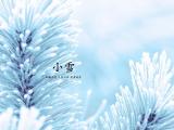 二十四节气小雪