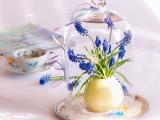 风信子插花