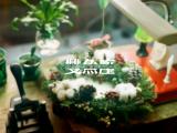 幸运的双鱼座