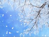 冰雪世界