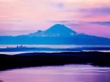 雷尼尔山