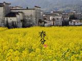 春分时节