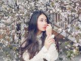 樱花中美女