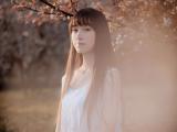 樱花下的女孩