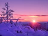 冬季唯美雪景