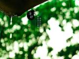 清明节气