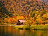 湖畔小屋