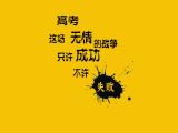 高考语录