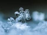 微观雪花