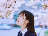 记忆里的芬芳