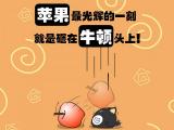 被苹果砸晕的嘿嘿猫