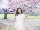 樱花下的杨颖
