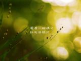 爱是一种遇见却无法预见
