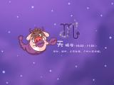 小猪滚滚天蝎座