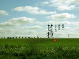 节气芒种