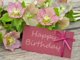HappyBirthday