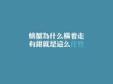 有钳就是这么任性