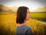 山那边有匹马艾美