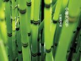 二十四节气小暑物语