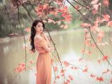 高冷美女