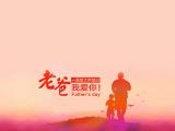 老爸我爱你