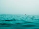 随波逐流的船