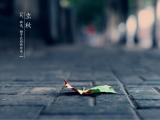 节气立秋