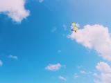 空中的跳伞运动