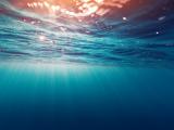 水下世界
